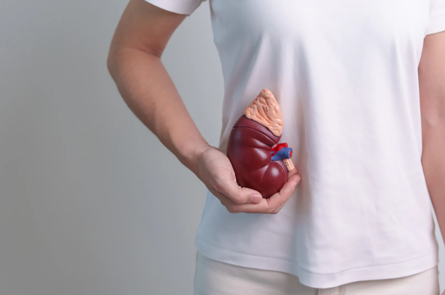 만성콩팥병 진료